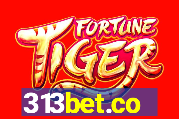 313bet.co