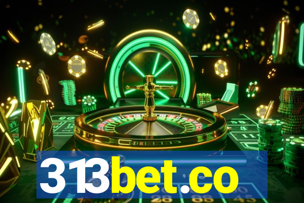 313bet.co