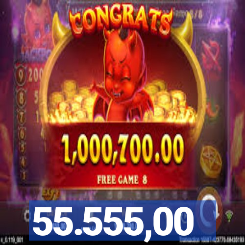 55.555,00