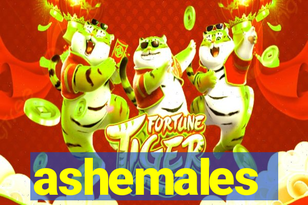 ashemales