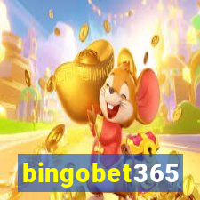 bingobet365