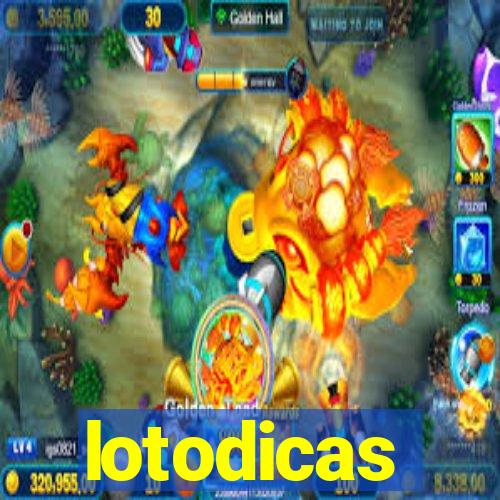 lotodicas
