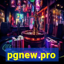 pgnew.pro