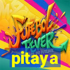 pitaya-bet