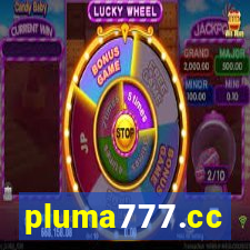 pluma777.cc