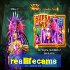reallifecams