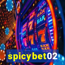 spicybet02