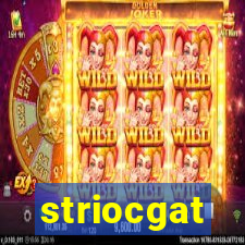 striocgat