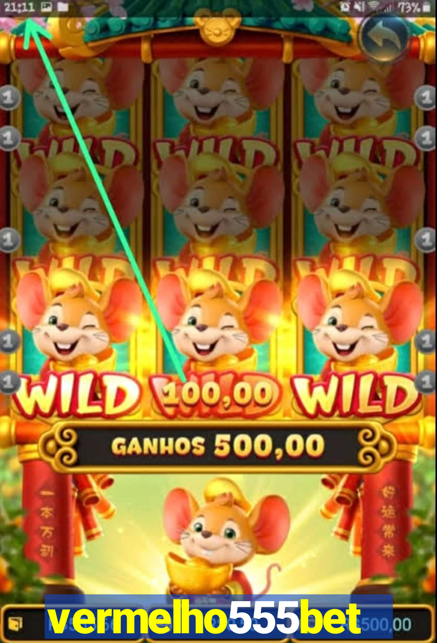 vermelho555bet
