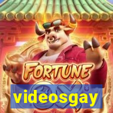 videosgay