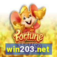 win203.net
