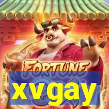 xvgay