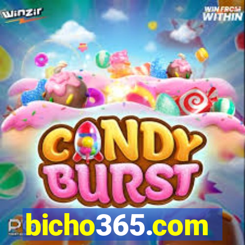 bicho365.com