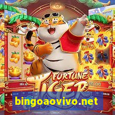 bingoaovivo.net