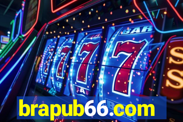 brapub66.com