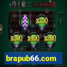 brapub66.com