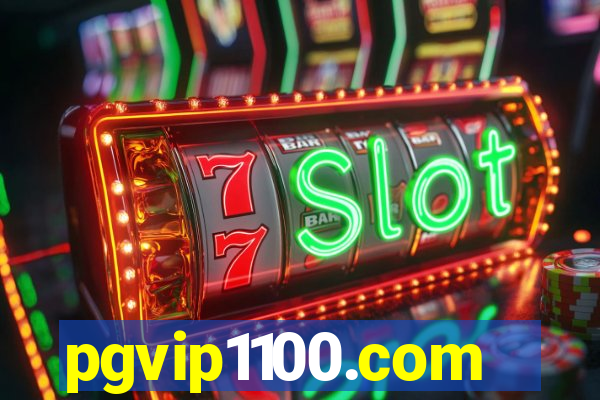 pgvip1100.com
