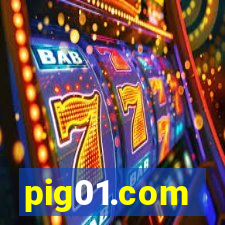 pig01.com