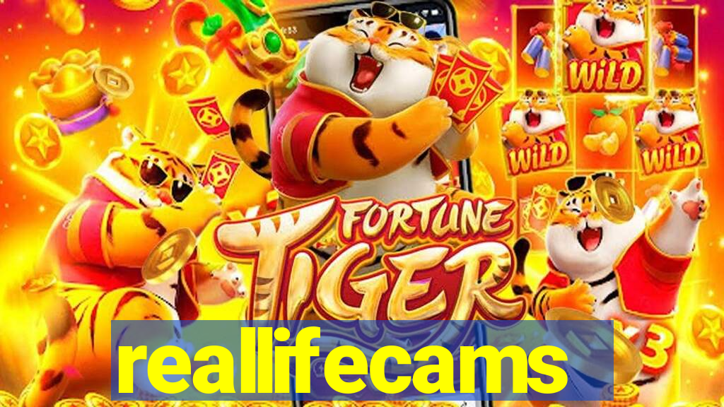 reallifecams