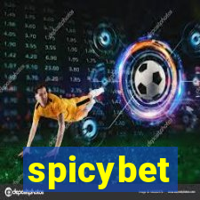 spicybet-5.com