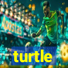 turtle-ty.com