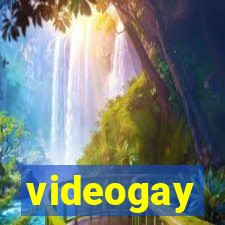 videogay