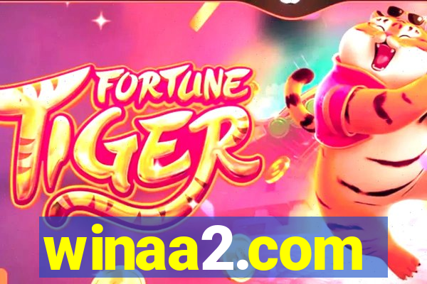 winaa2.com