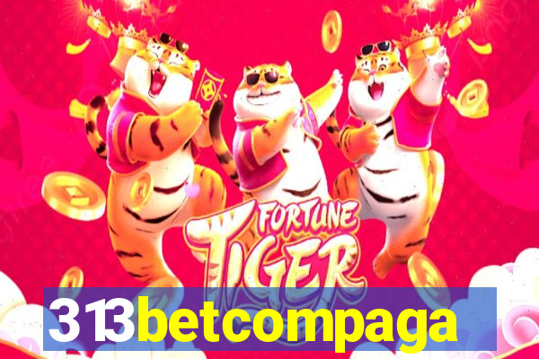 313betcompaga