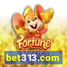 bet313.com