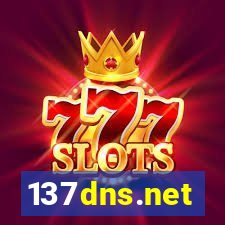 137dns.net
